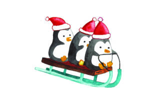 Penguins Wearings Santa Hat on a Sledge